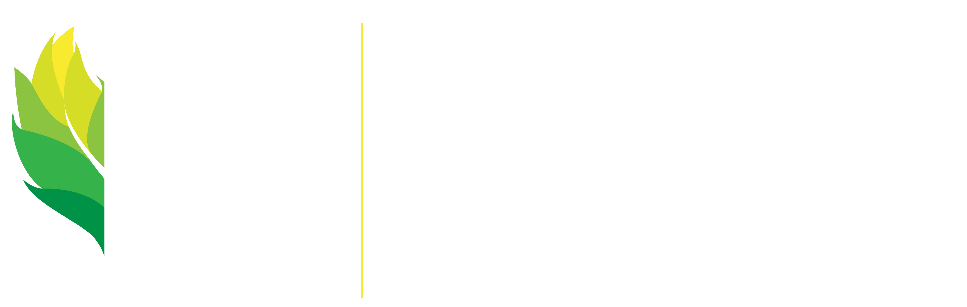 Carbon Reduction Planning